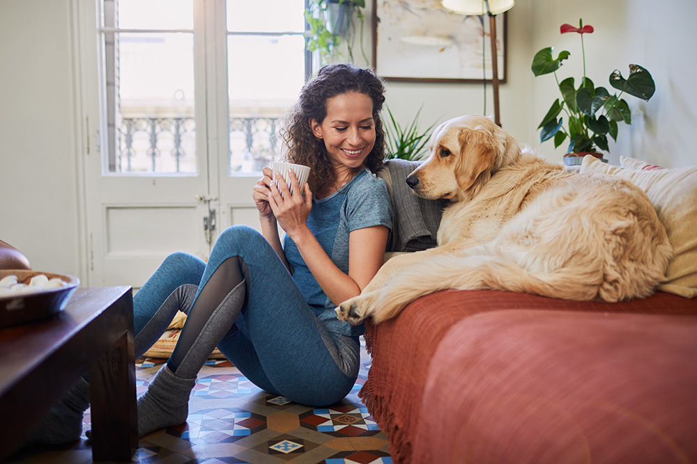 Guide to apartment living with your dog