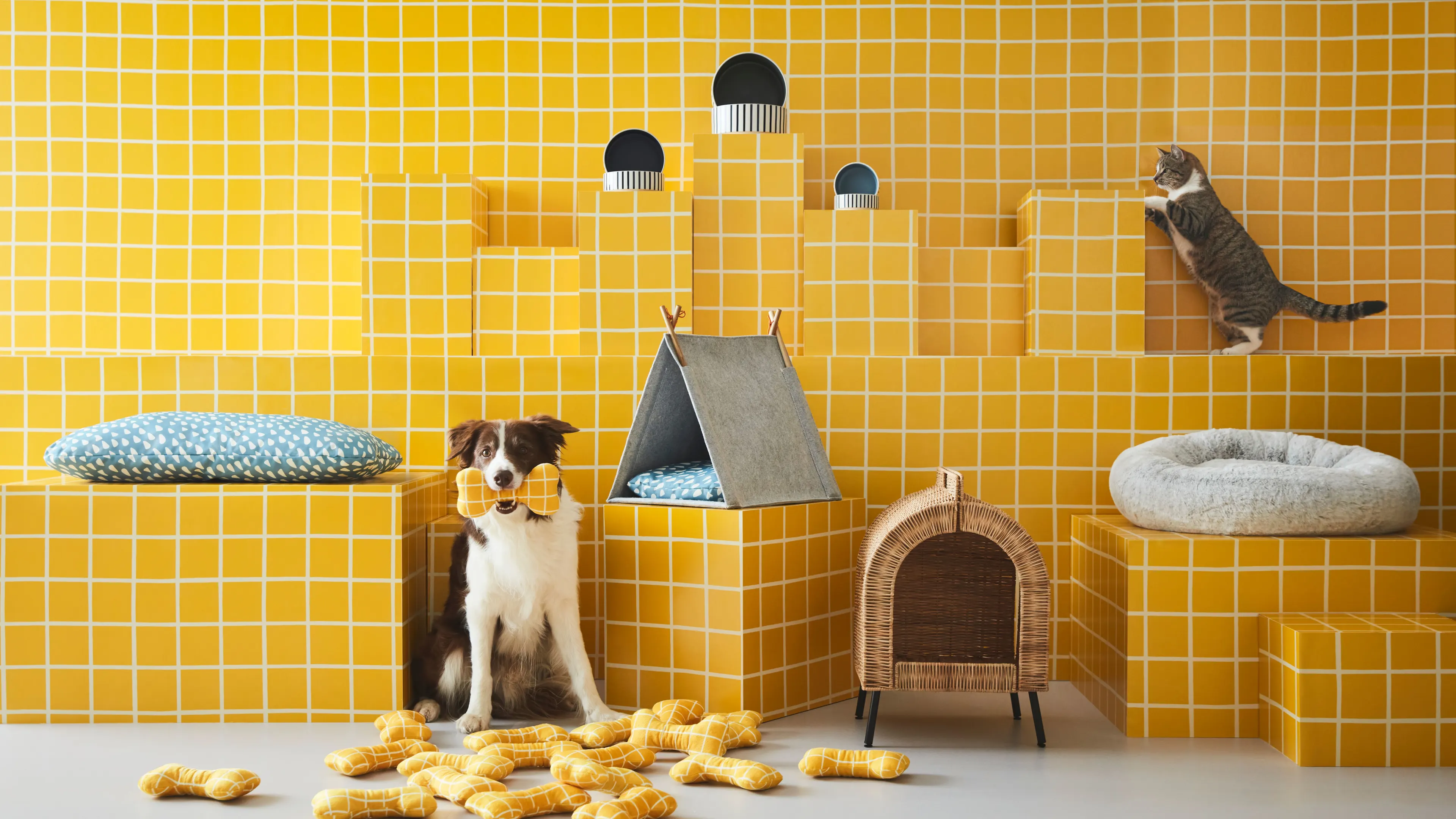 ikea's new dog and cat products showcased next to a real dog and cat