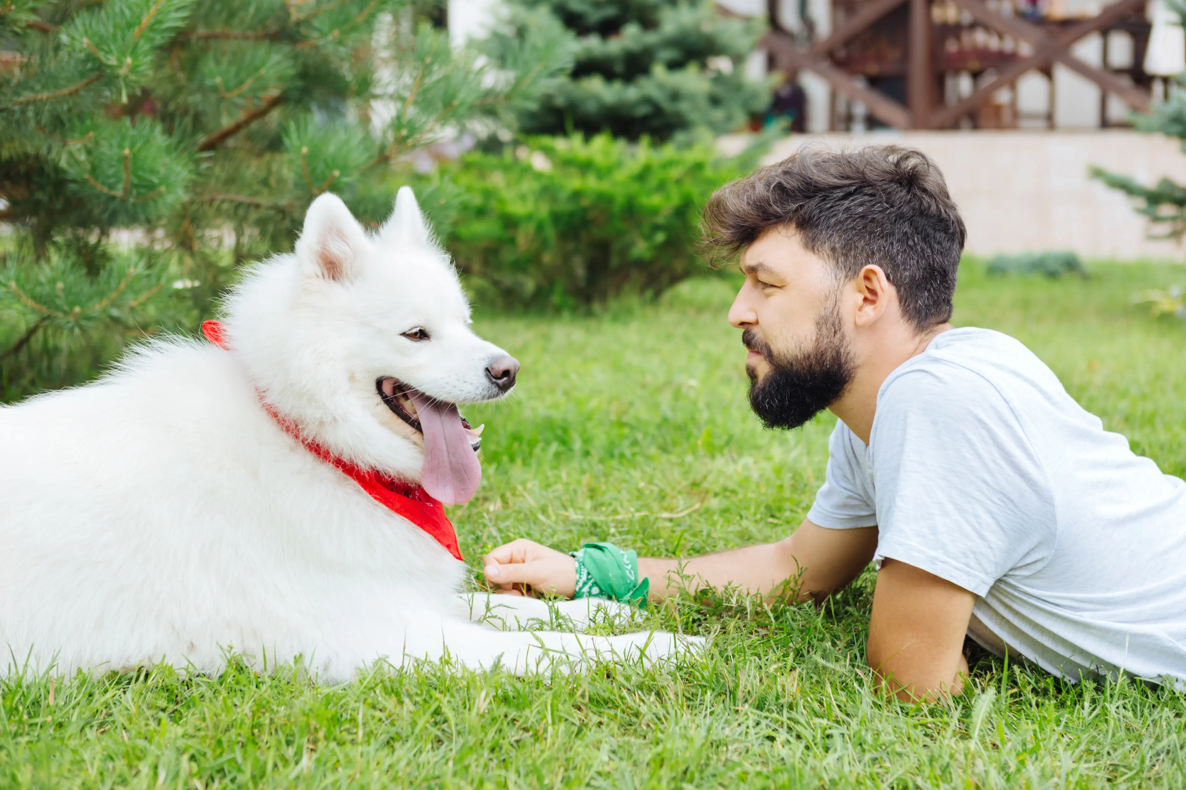 Dog’s fur and bacteria