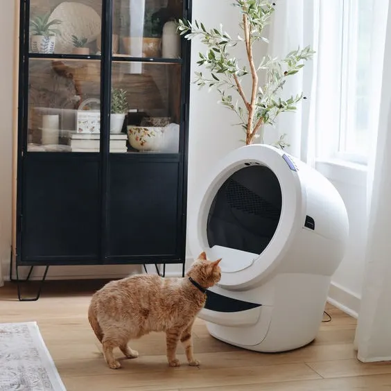 litter robot in room