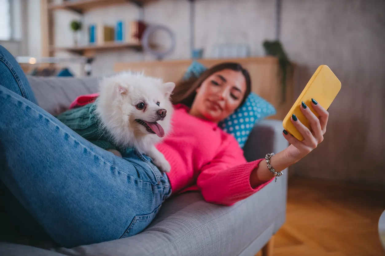 Pomeranian laying with woman on couch while she holds phone