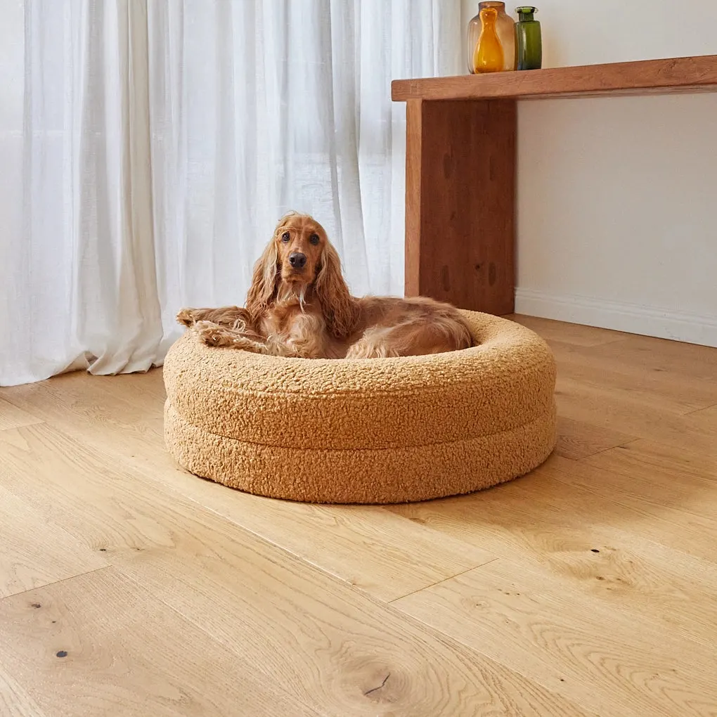 dog sleeping in donut bed