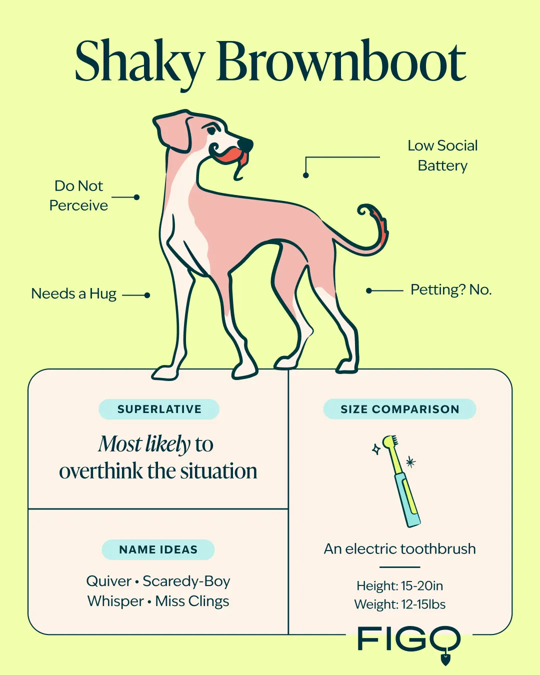 Shaky Brownboots breed guide graphic