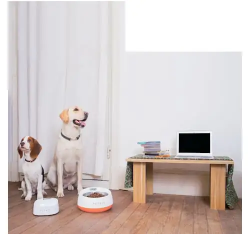 PetKit FRESH Metal Smart Digital Feeding Pet Bowl 
