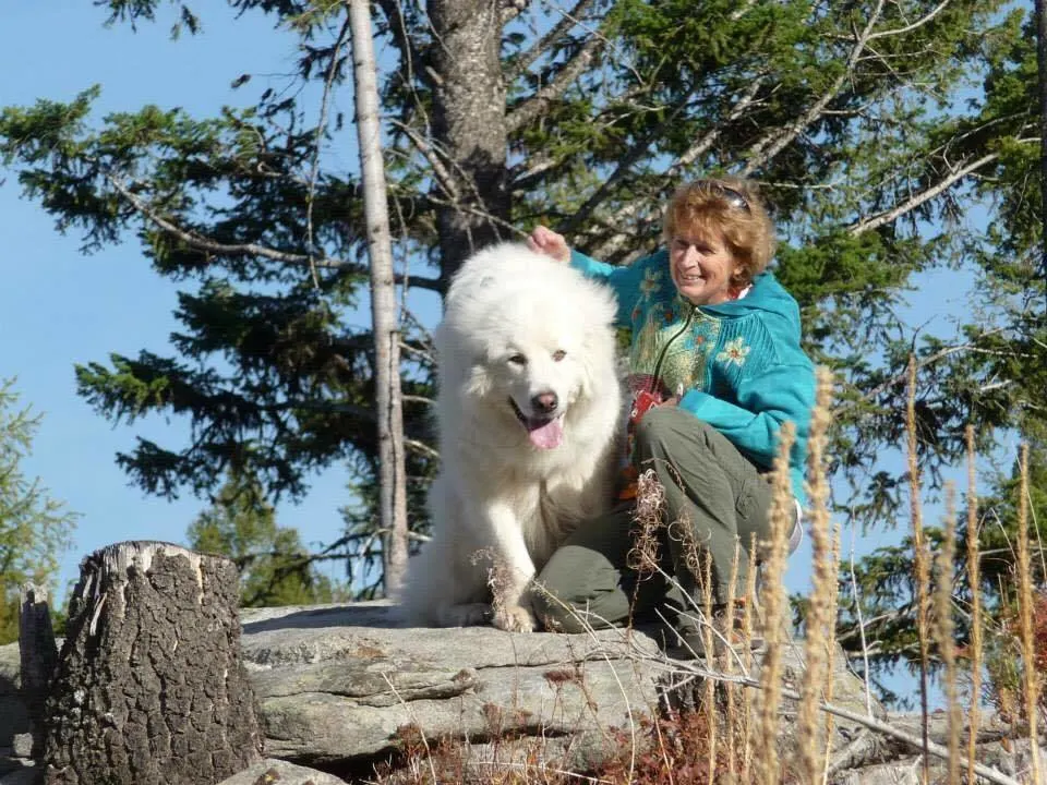 Interview with a veterinarian: Dr. Patti Prato