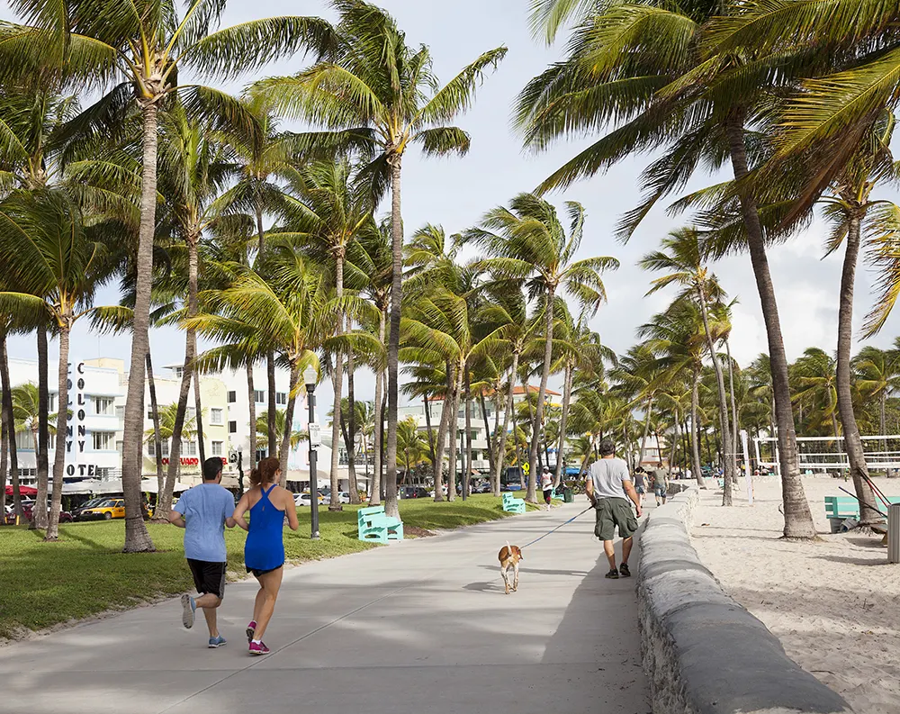 Roam: Dog friendly surf and turf in Miami