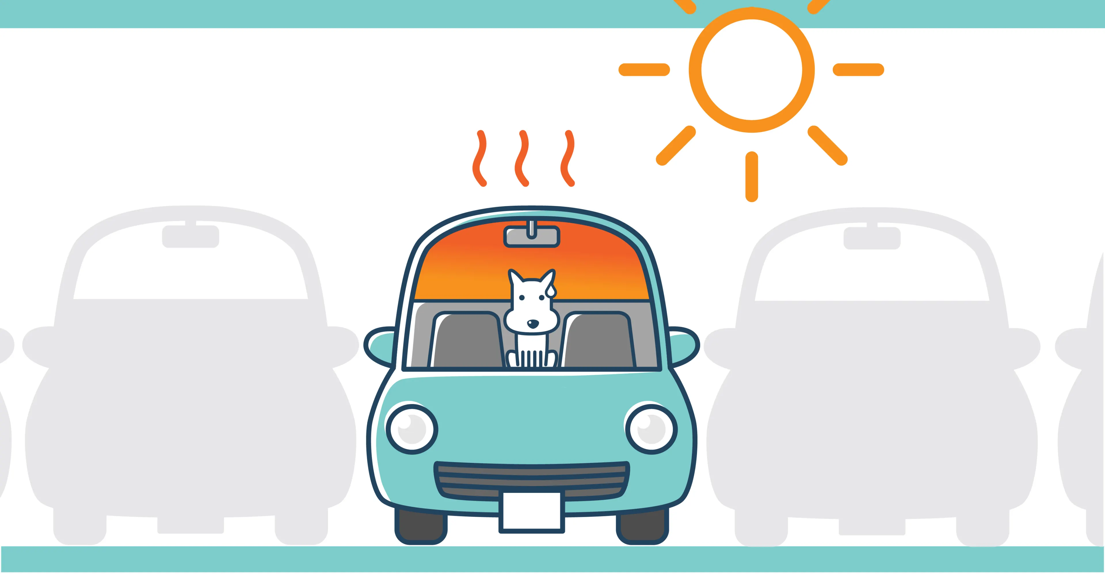 Pets and hot cars: What you need to know