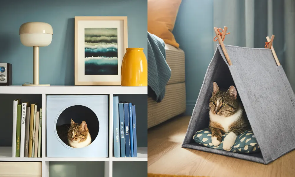 cat sleeping in hiding hole and another cat laying in pet teepee