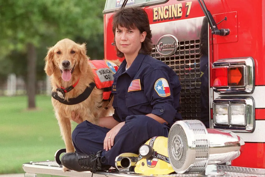 Yellow lab with owner on fire engine