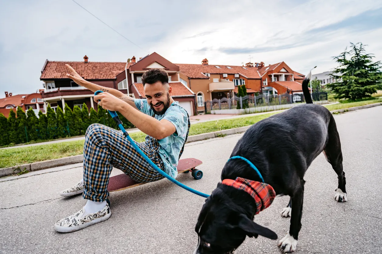 Owner walks dog on a leash while sitting on skateboard