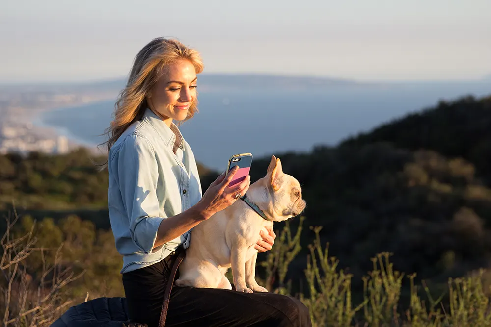 7 things pet parents can do with the Figo Pet Cloud
