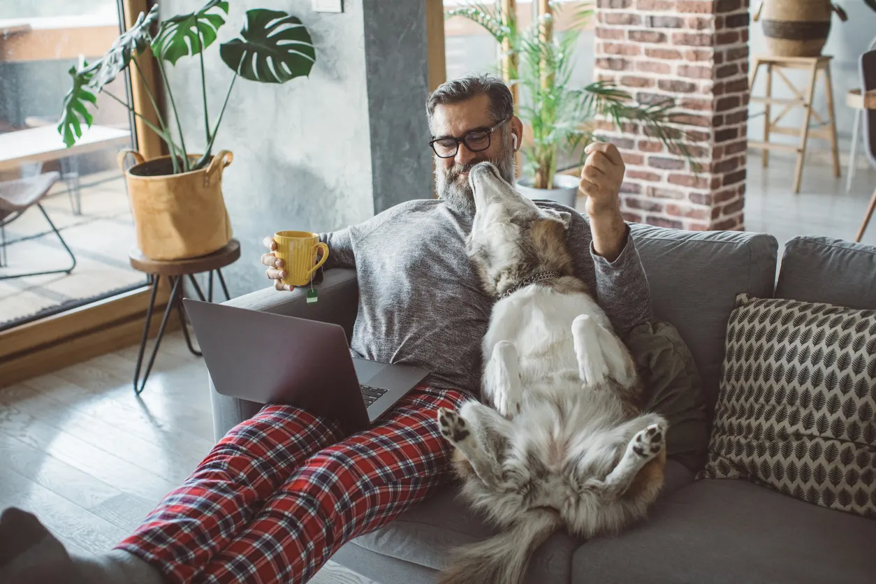 Older man sitting on couch with husky laughing at dog licks him