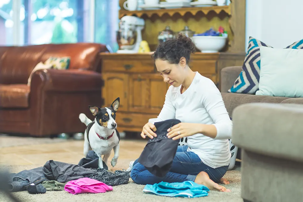 Are laundry pods dangerous to pets?