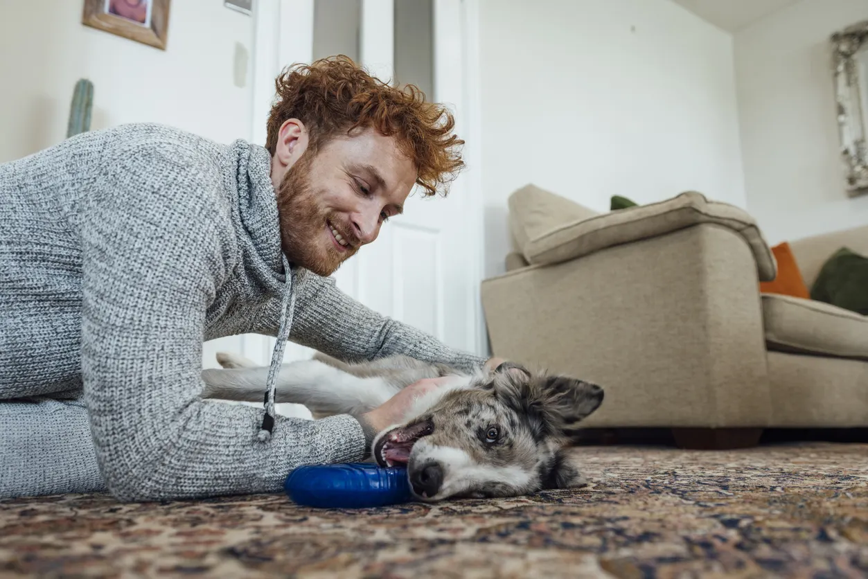 Man playing with dog and toy on carpet