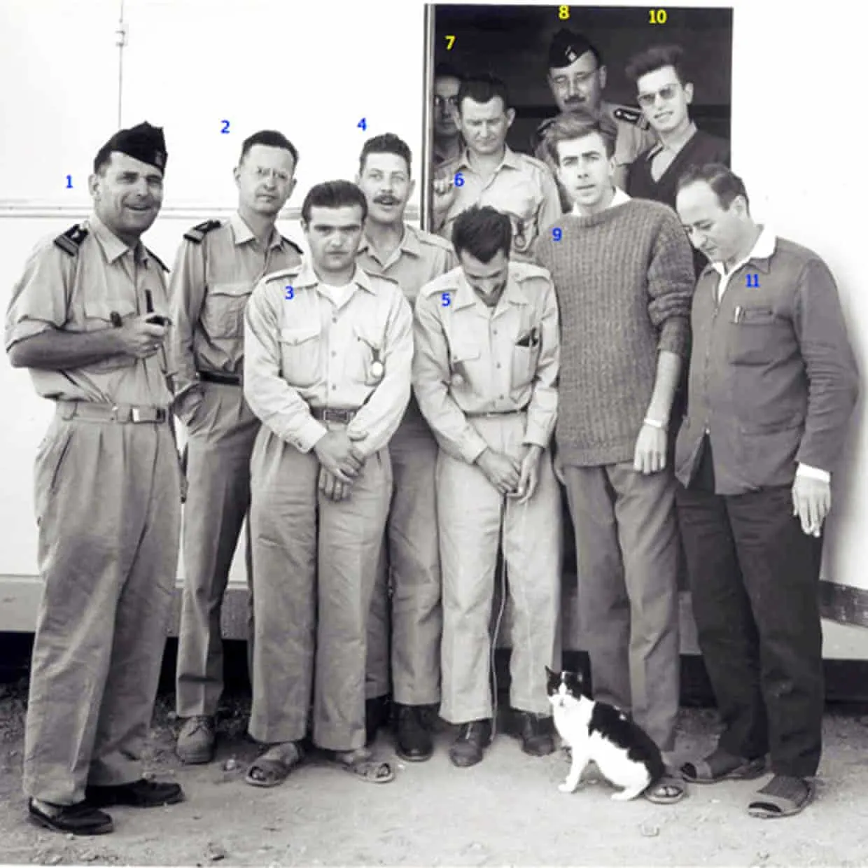 cat standing in front of group of astronauts