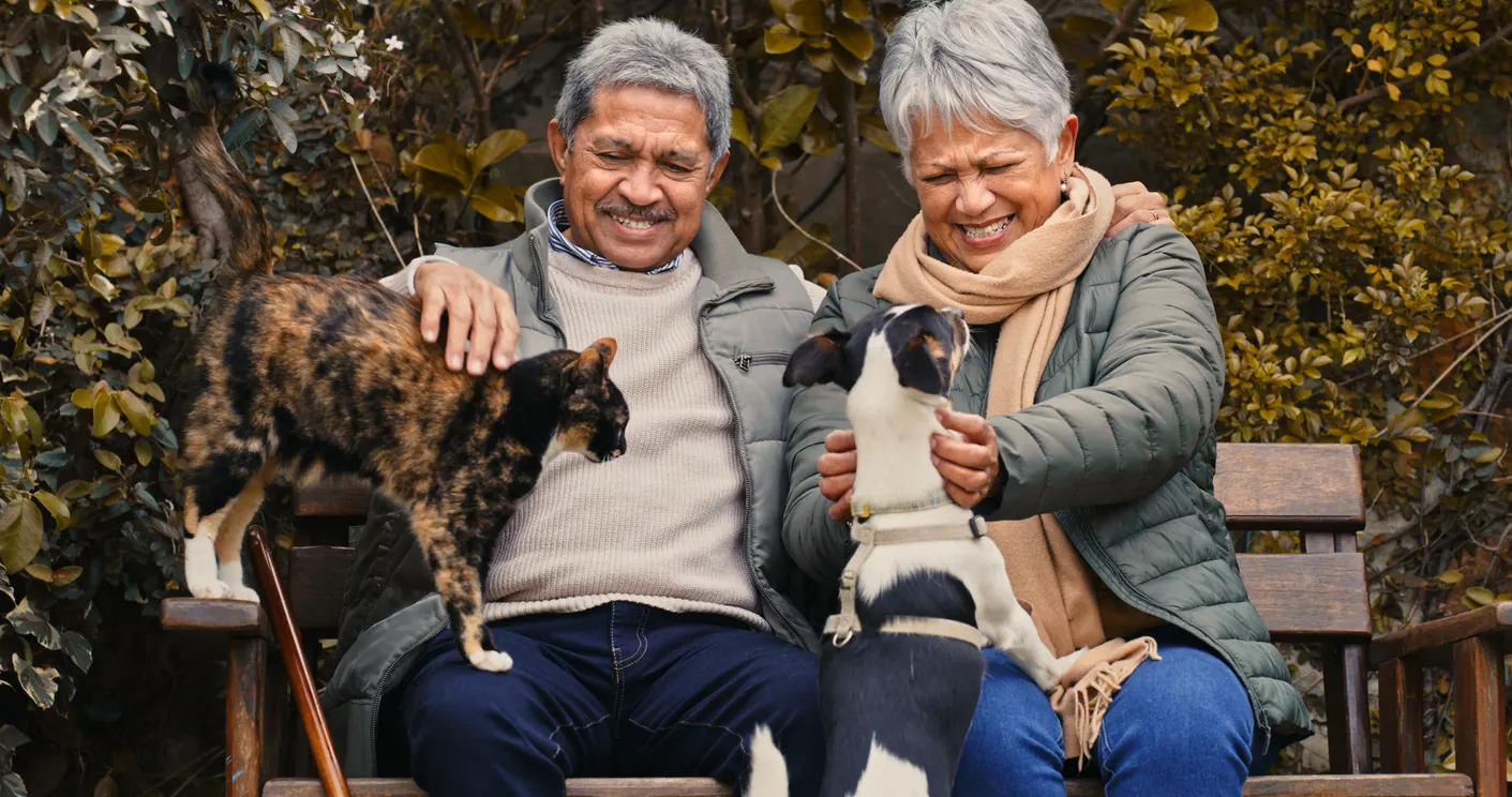 elderly couple sitting with dog and cat on bench