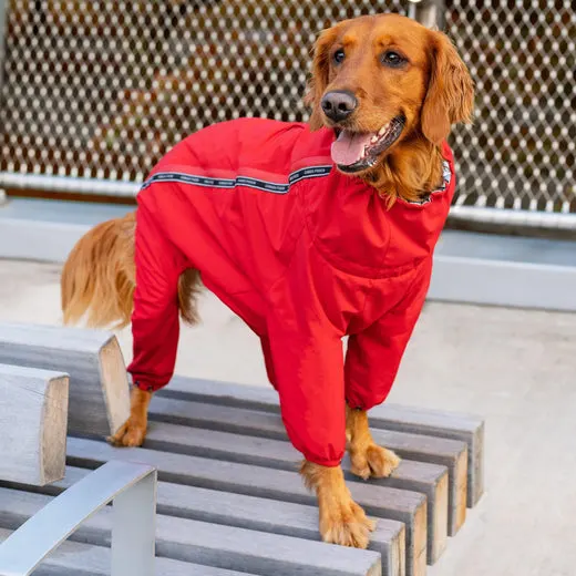 dog in snow suit