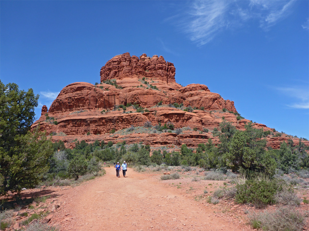 The Best Dog-Friendly Hikes In Each State