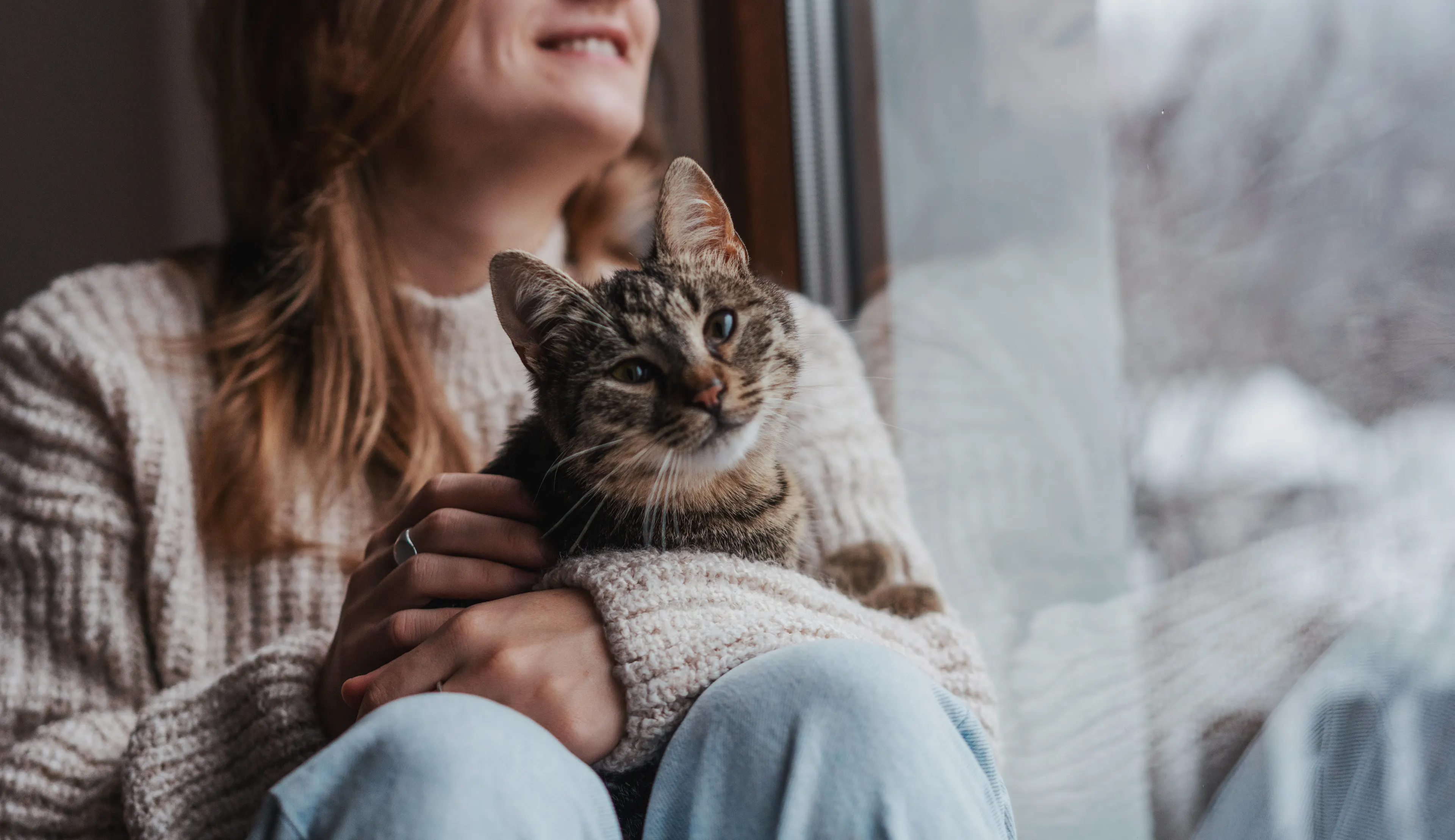 Cozy Woman and Cat by Window