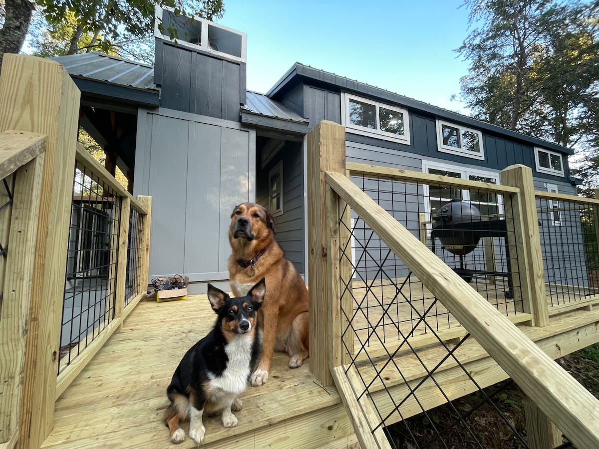 Two dogs on the porch of an alabama airbnb