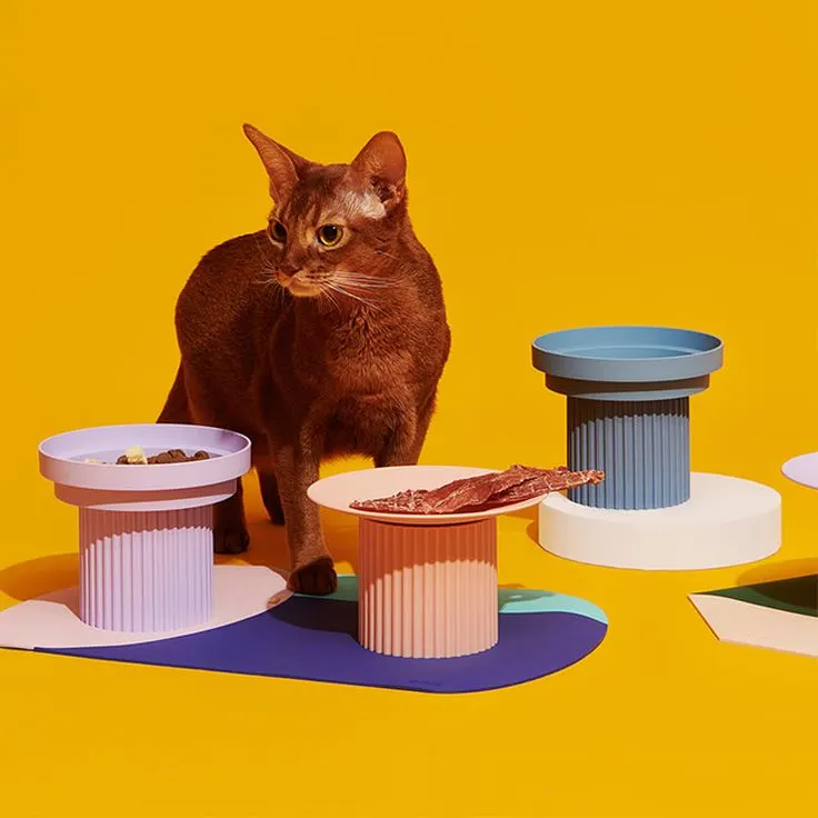 Cat surrounded by funky bowls