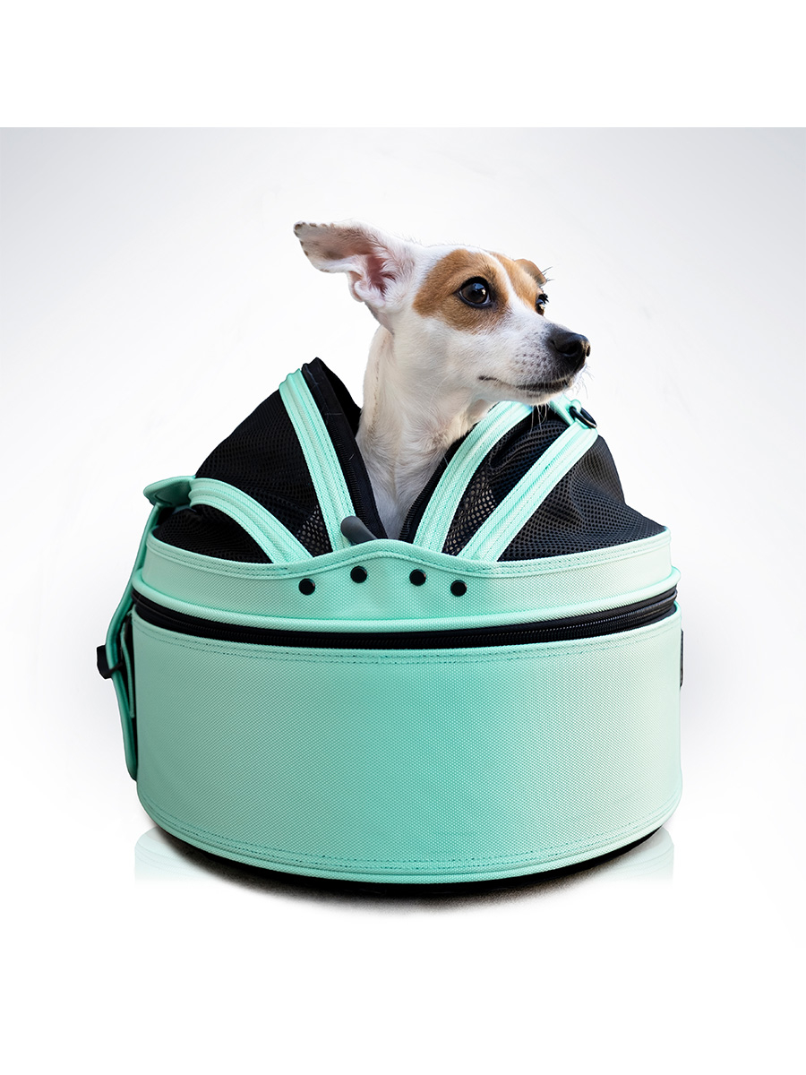 Luxurious Gifts for the Bougie Pet Parent