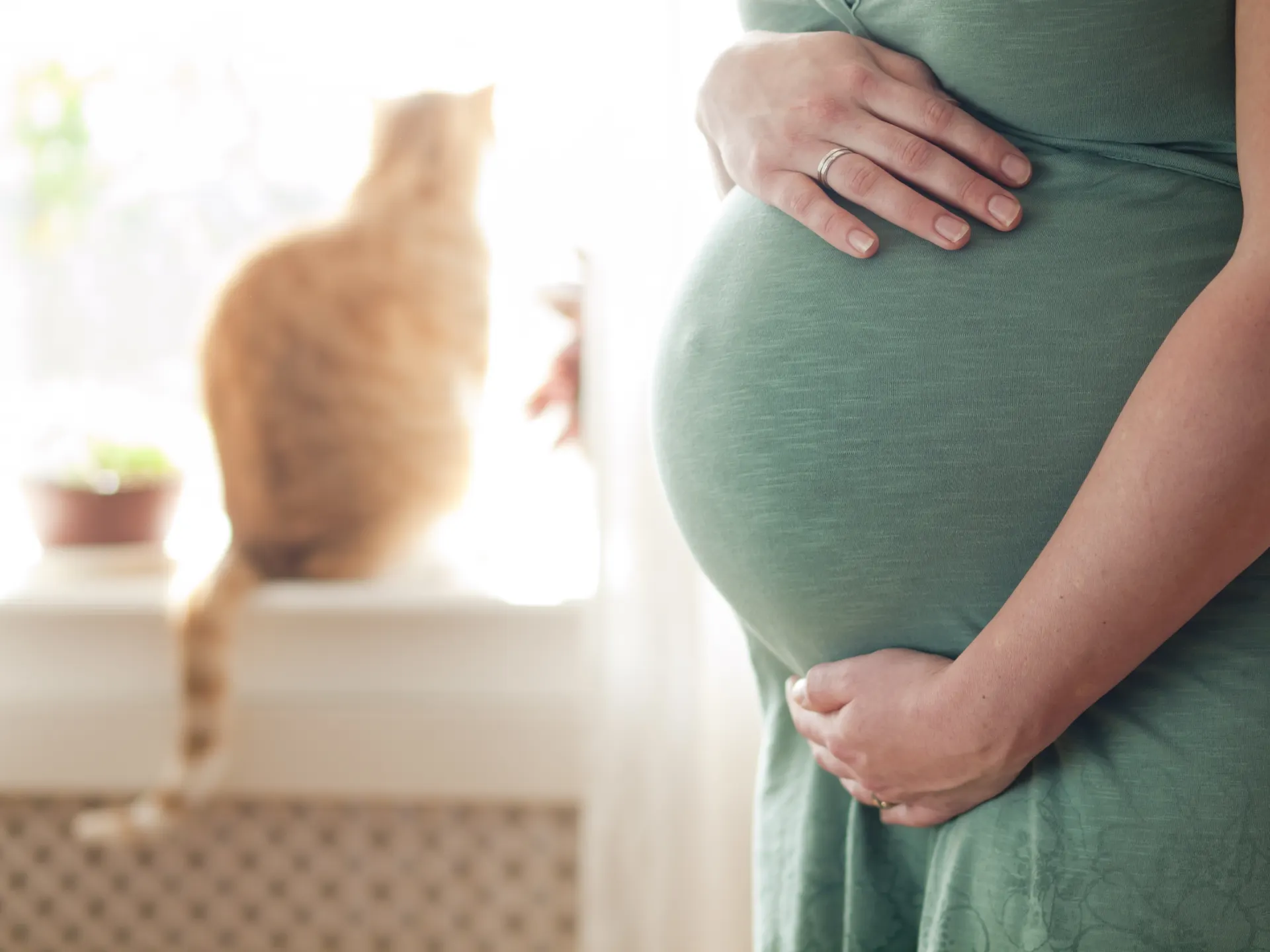 Pregnant women should take precautions to avoid toxoplasmosis
