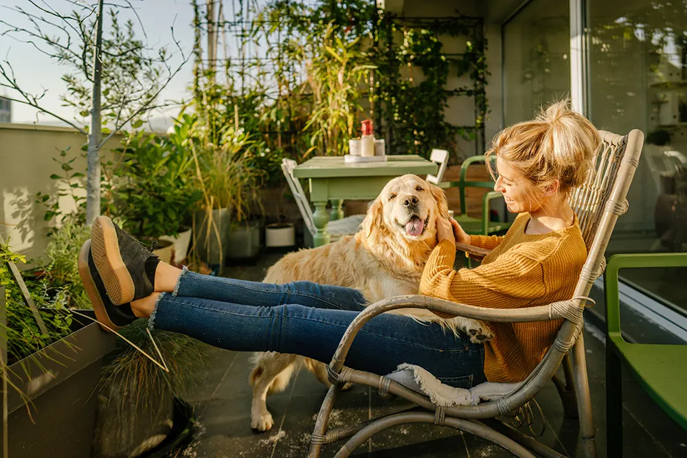 How to dog-proof a balcony