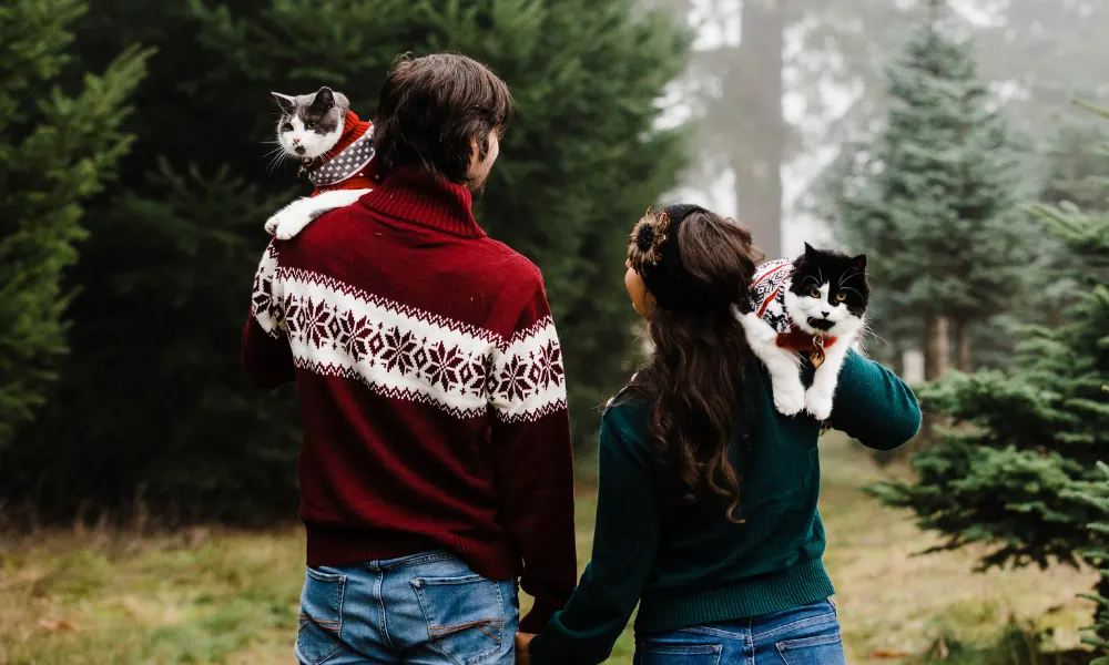 A Pet-Parent's Guide to Fur Family Photos