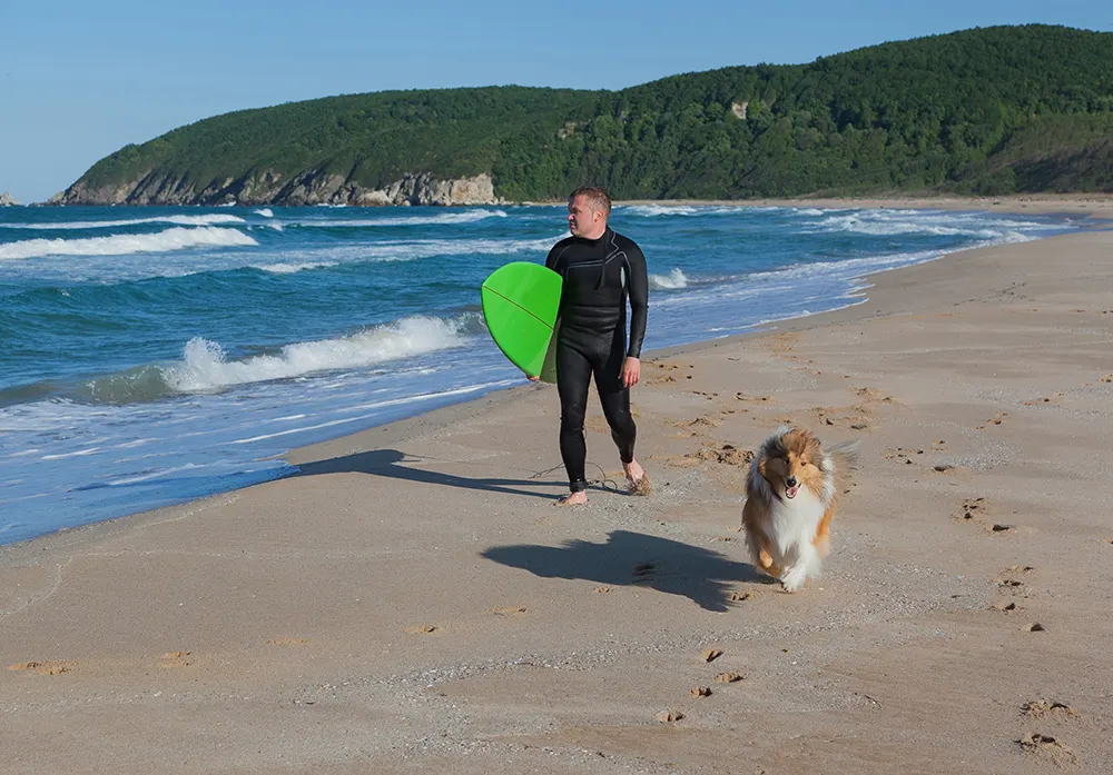 Surfer and dog walking on Hawaiian beach