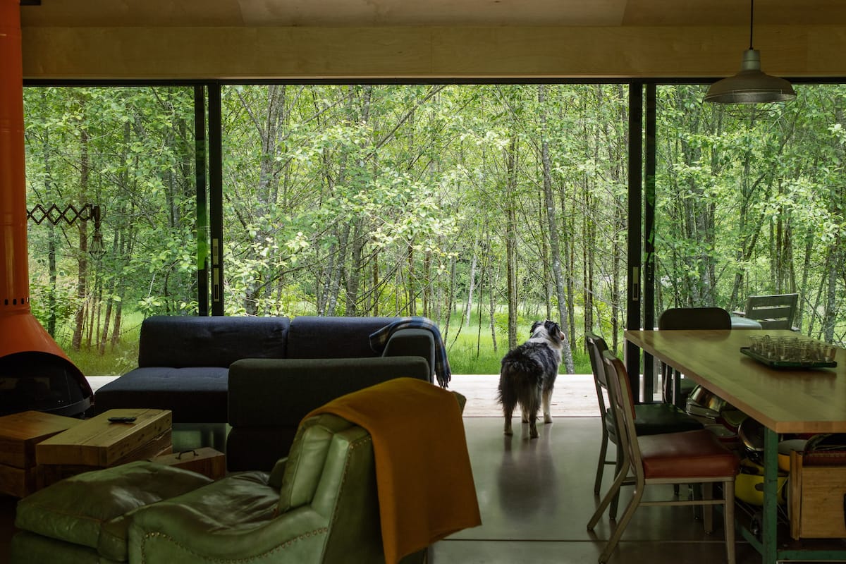 cabin with large open wall and dog