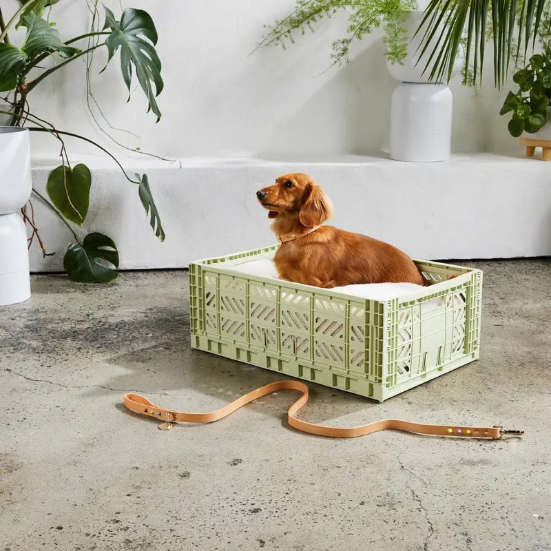 Modular mint green dog crate in modern bedroom