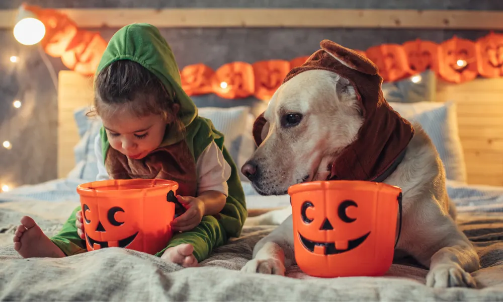 DIY Dog Couple's Costumes for Halloween