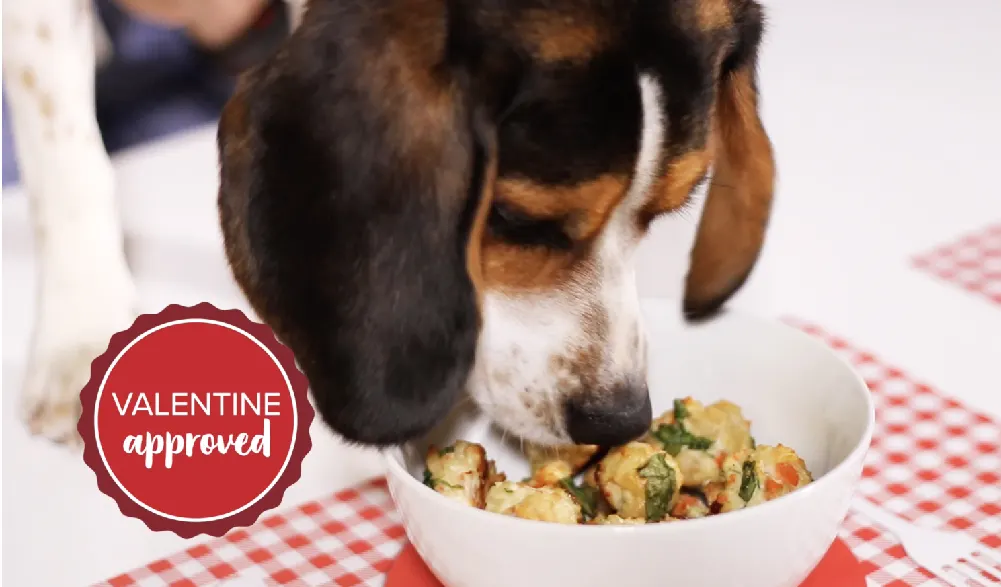 Scarf’d: Valentine's Day Dog-Friendly Chicken Meatballs