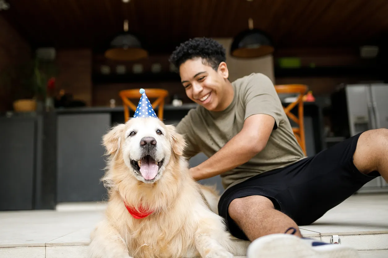 golden retriever with owner wearing birthday hat