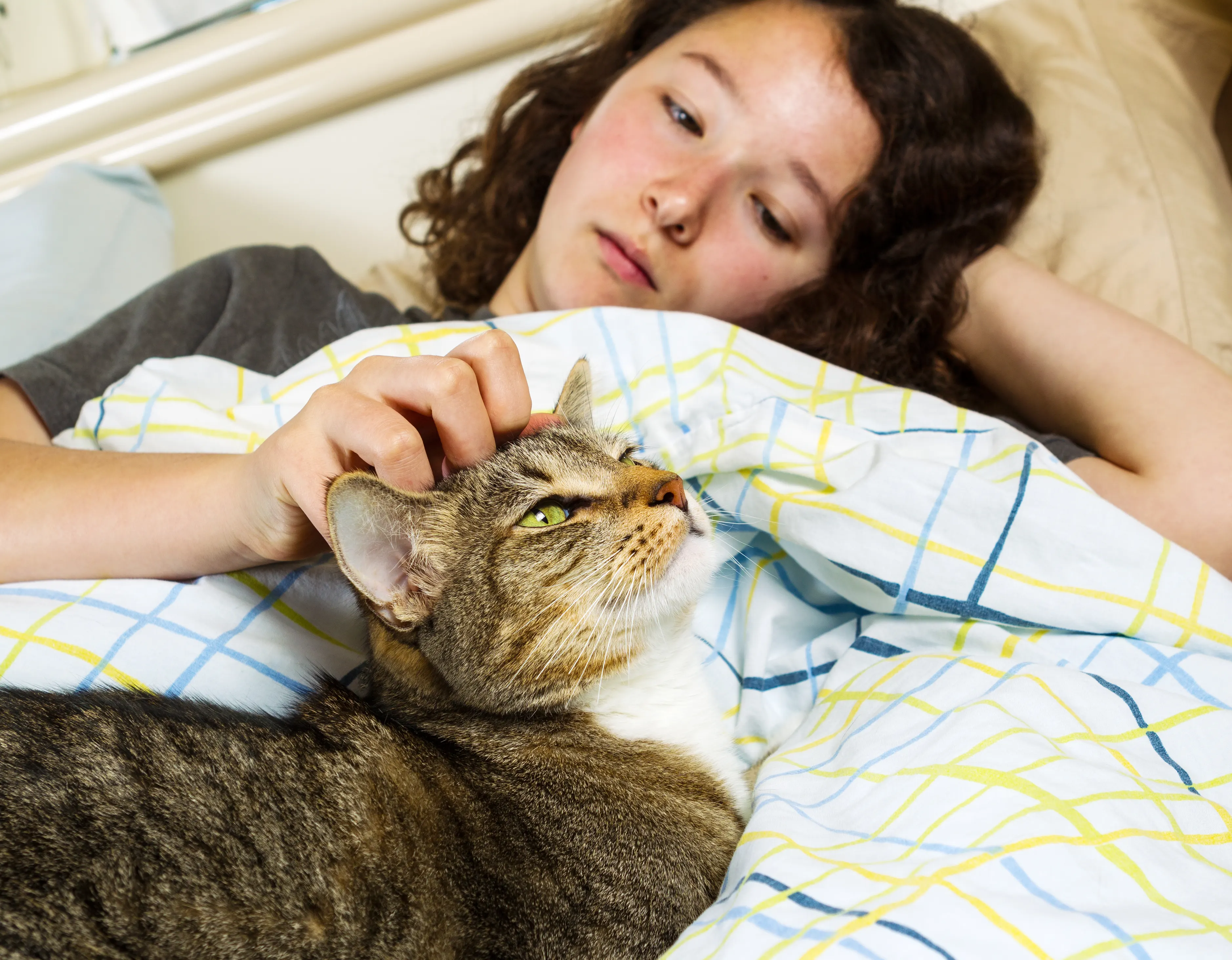 Many ways to help senior cats that yowl at night