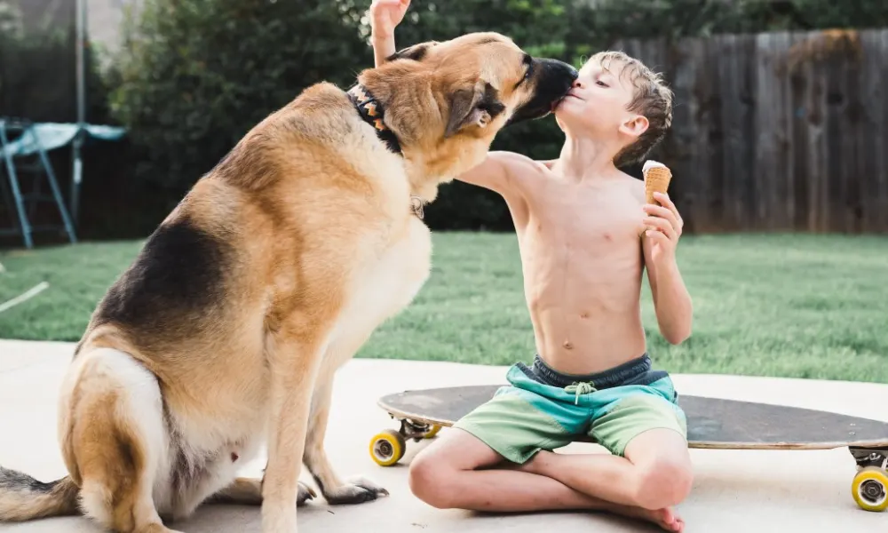 Summer Heat Safety Tips for Pet Owners
