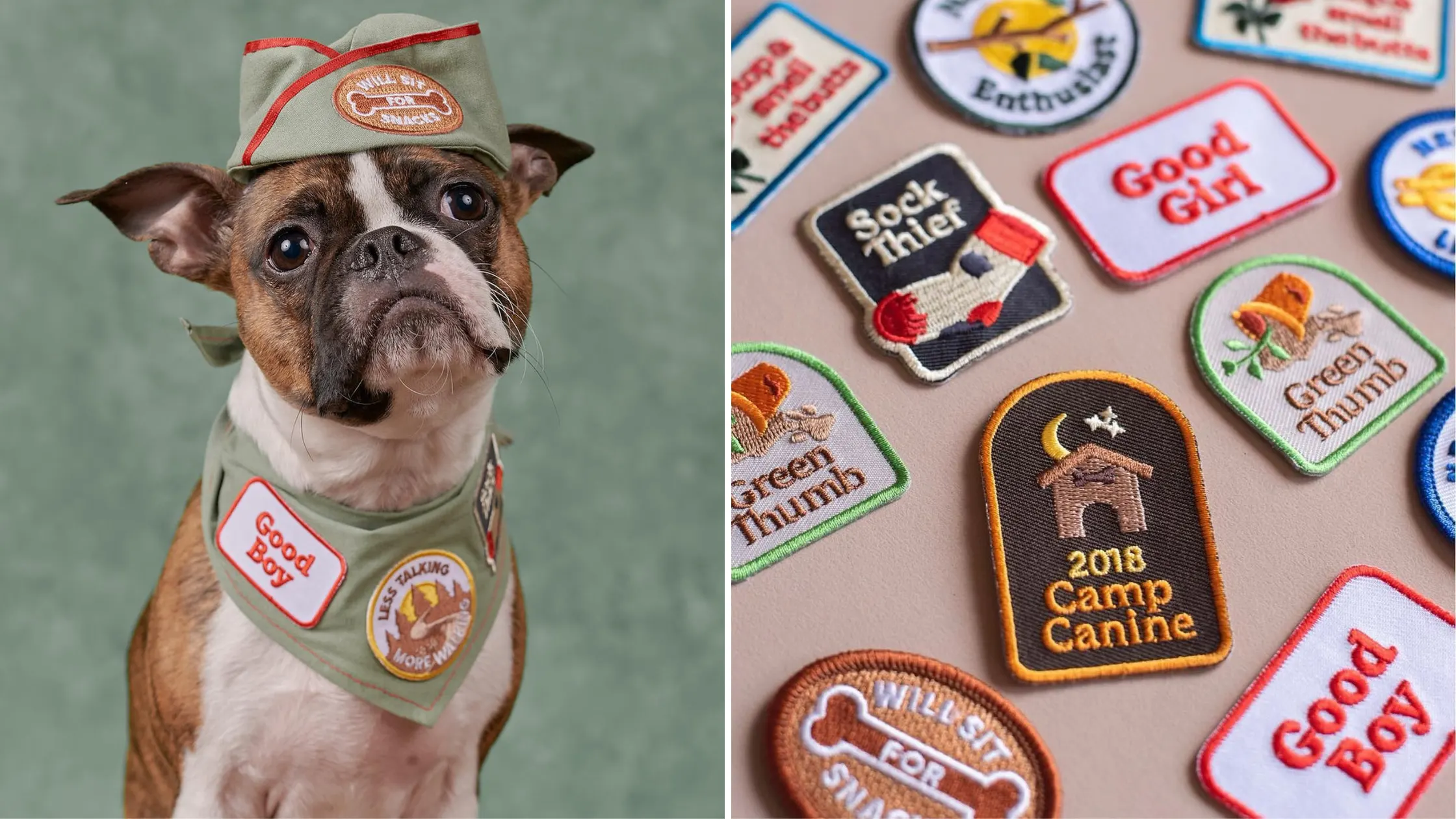 scout's honor dog and cat patches