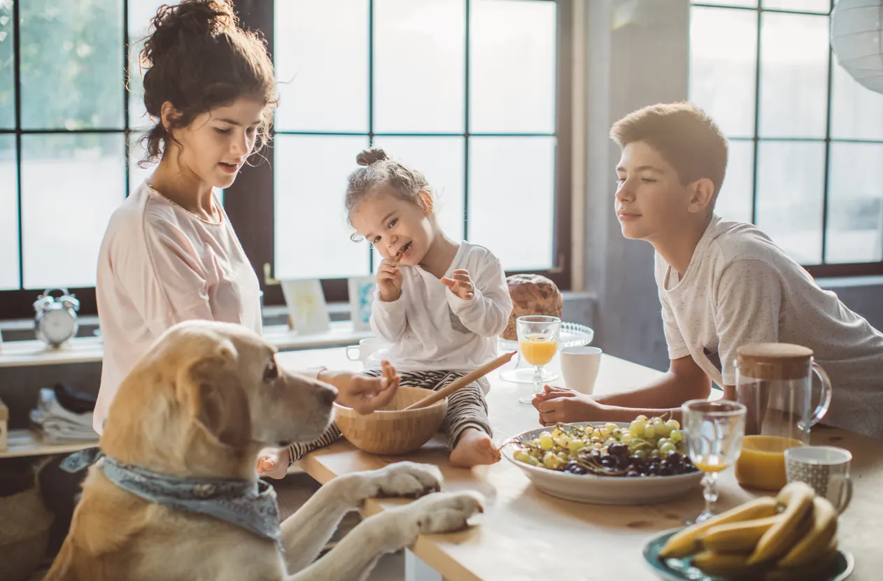 dog at kitchen table with family