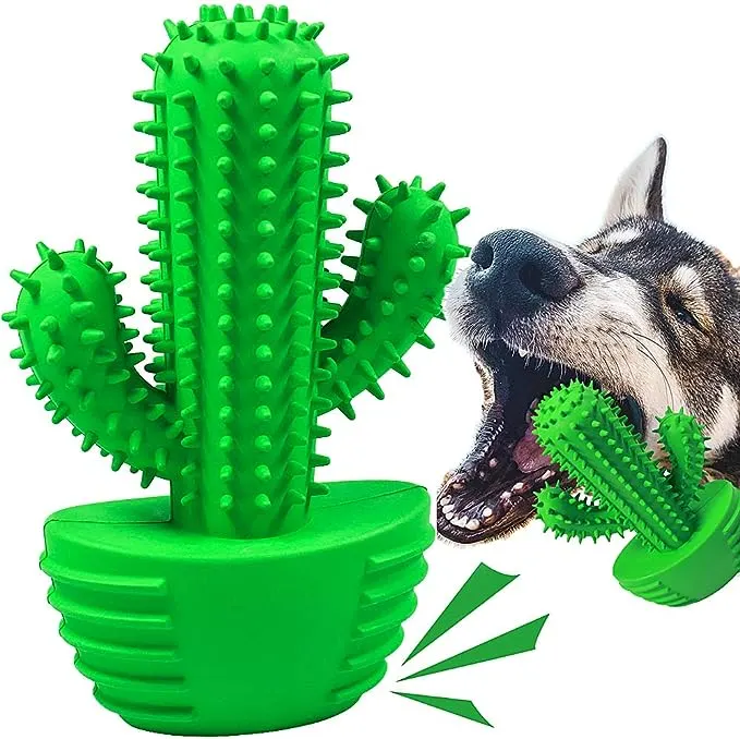 Cactus toothbrush toy