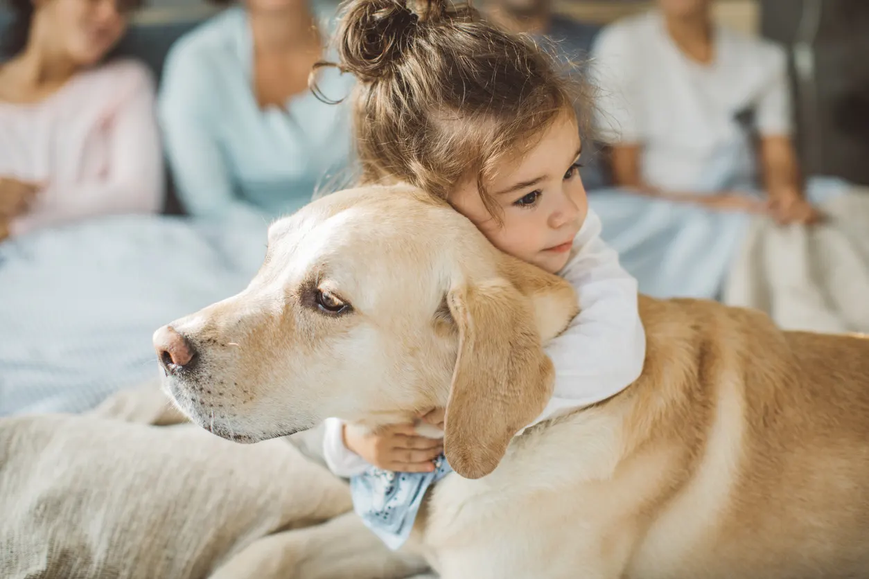 child hugging yellow lab