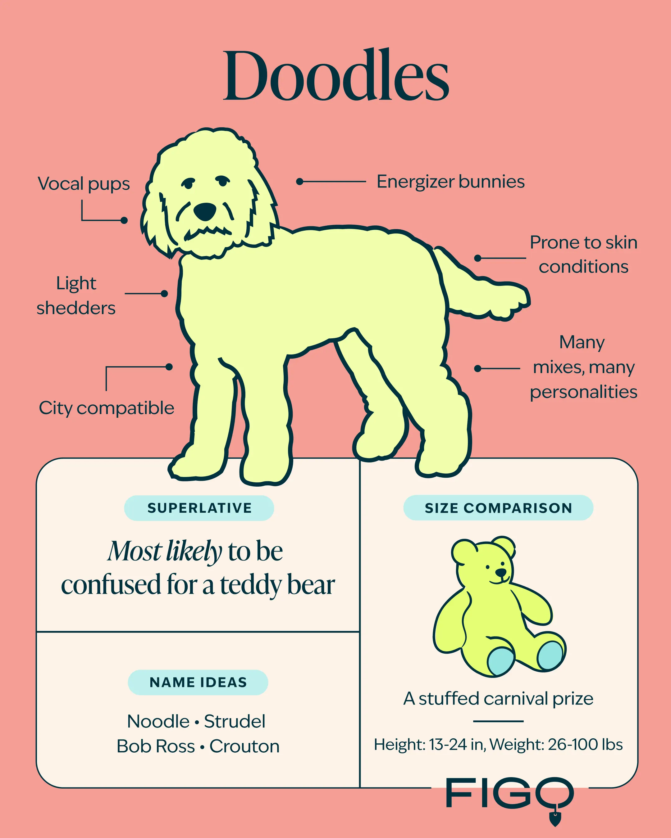 Doodle Breed Guide