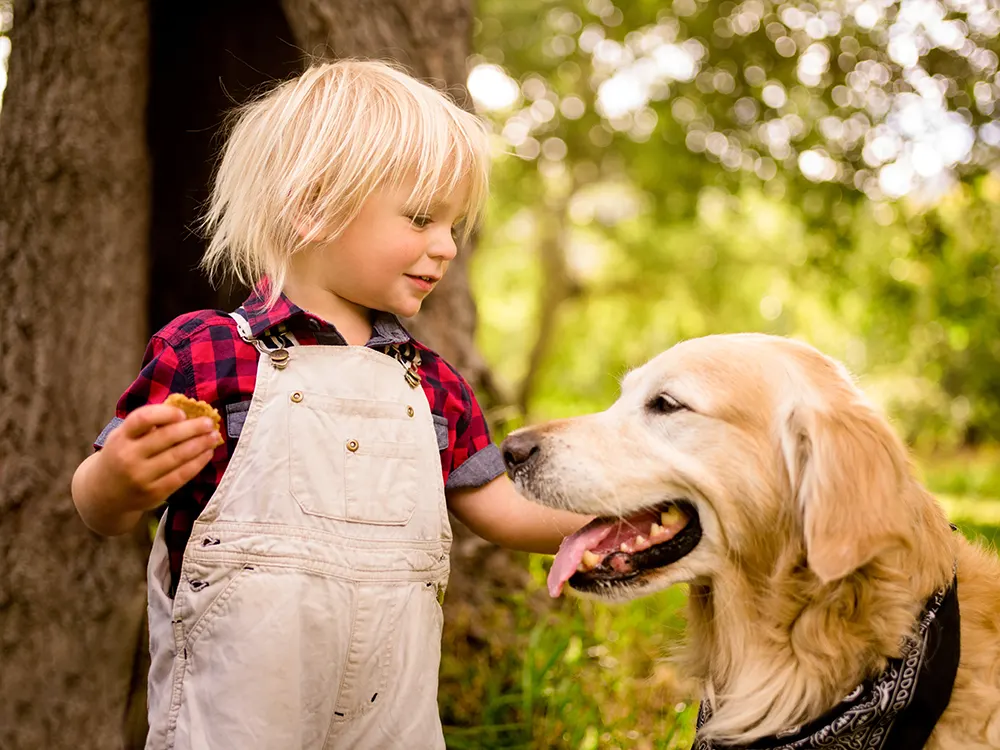 Pet foods can trigger human allergies