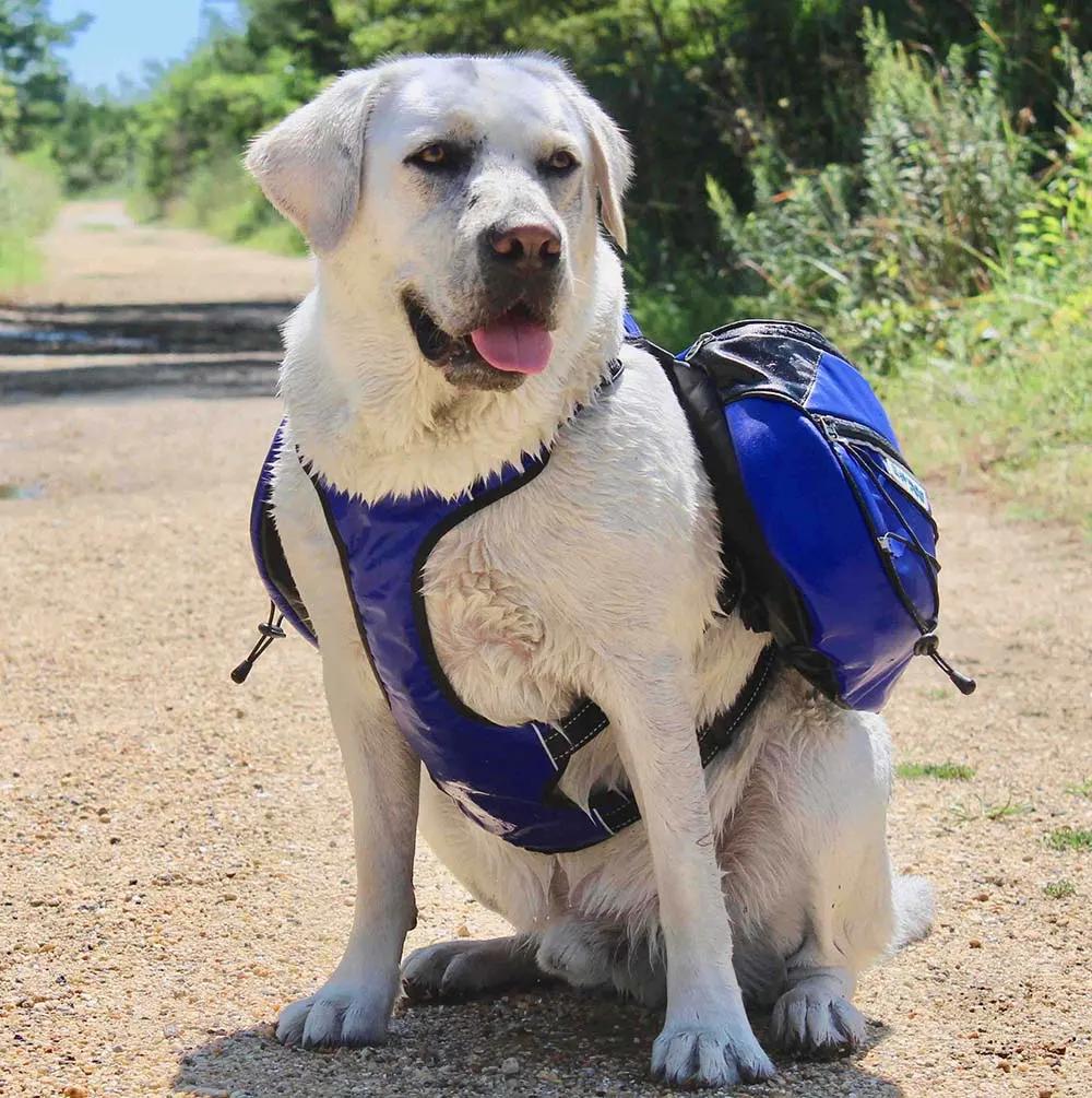 Walter modeling the Saranac Pack from Chesapeake Bay Dog Company