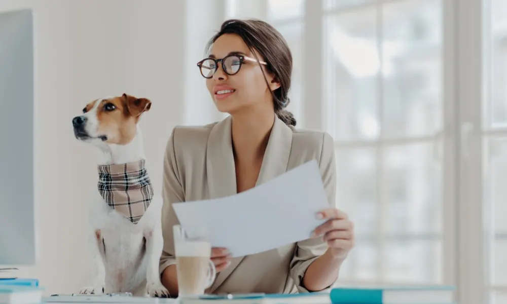 How to Convince Your Employer to Offer Pet Insurance