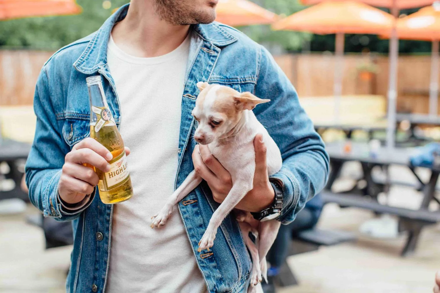 Dog owner holding small dog on patio