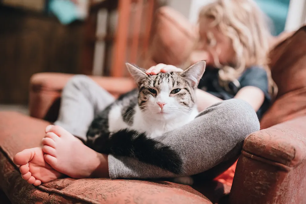 5 ways owning a cat is beneficial