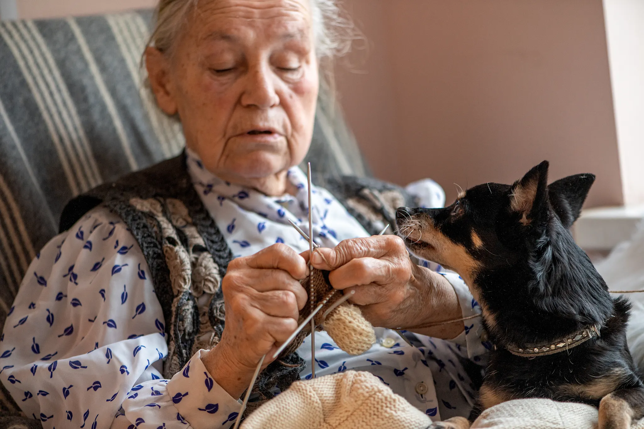 Can Pets Assist in the Care of Patients with Dementia?