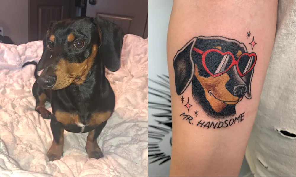 small dog side by side with tattoo