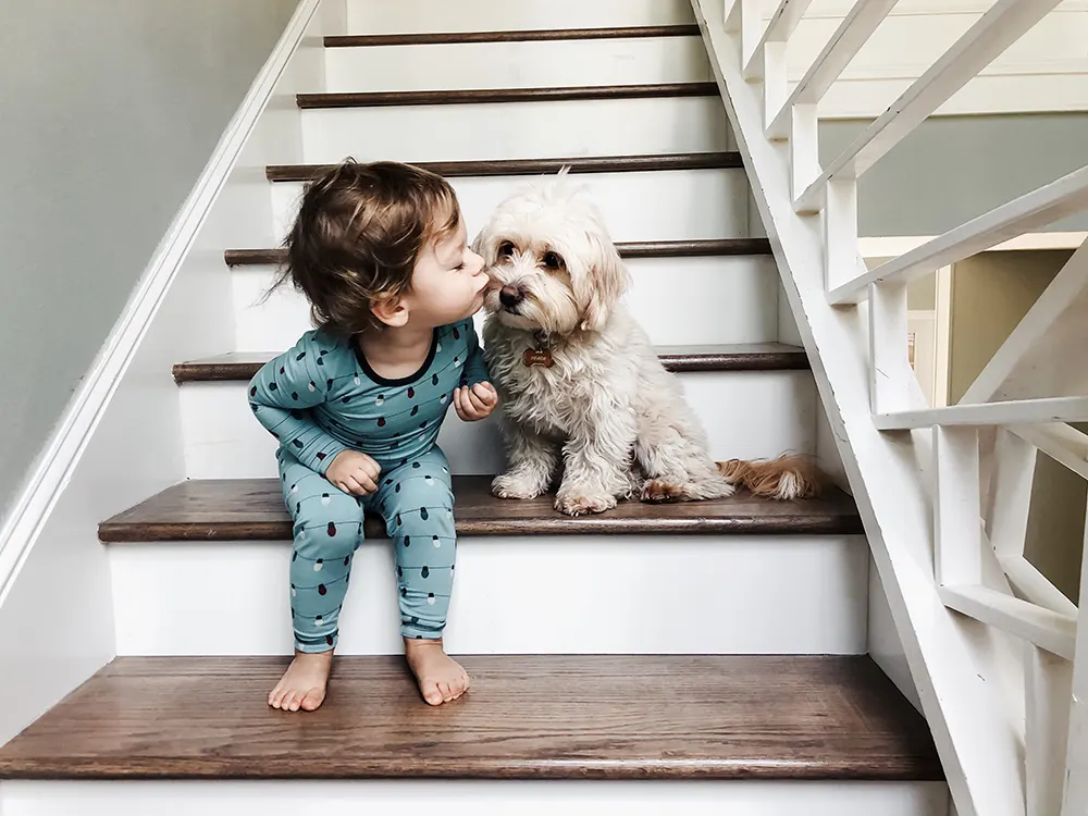 Pets and child allergies